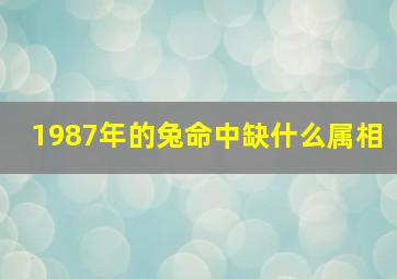 1987年的兔命中缺什么属相