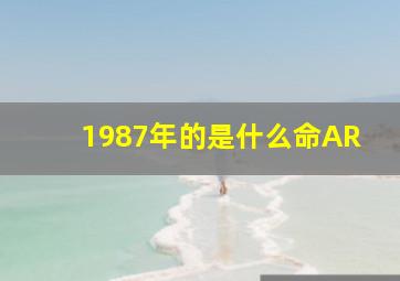 1987年的是什么命AR