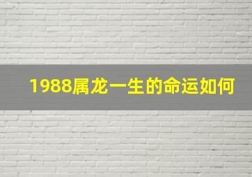 1988属龙一生的命运如何