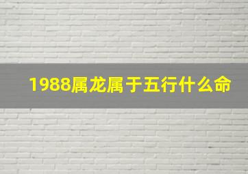 1988属龙属于五行什么命