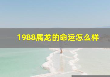 1988属龙的命运怎么样