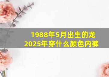 1988年5月出生的龙2025年穿什么颜色内裤