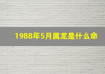 1988年5月属龙是什么命