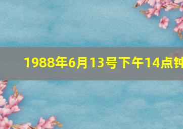 1988年6月13号下午14点钟