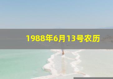 1988年6月13号农历