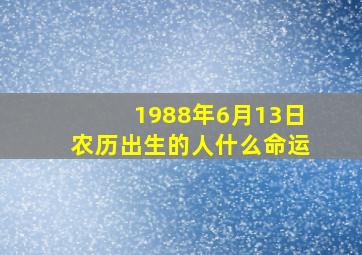 1988年6月13日农历出生的人什么命运