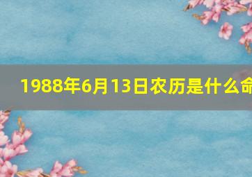 1988年6月13日农历是什么命