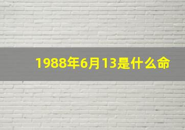 1988年6月13是什么命