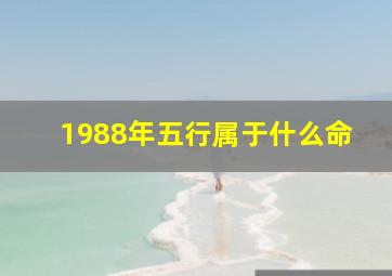 1988年五行属于什么命