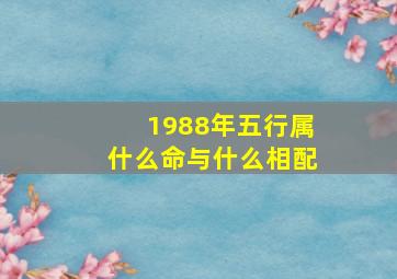 1988年五行属什么命与什么相配