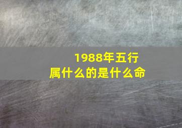 1988年五行属什么的是什么命