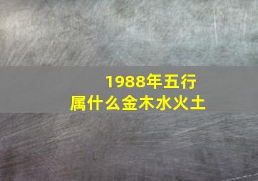 1988年五行属什么金木水火土