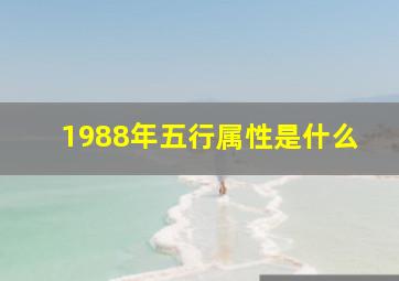 1988年五行属性是什么