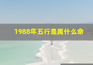 1988年五行是属什么命