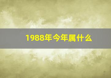 1988年今年属什么