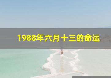 1988年六月十三的命运