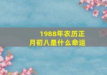 1988年农历正月初八是什么命运