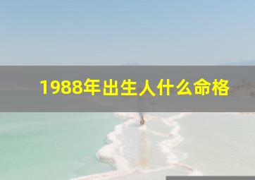 1988年出生人什么命格