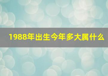 1988年出生今年多大属什么