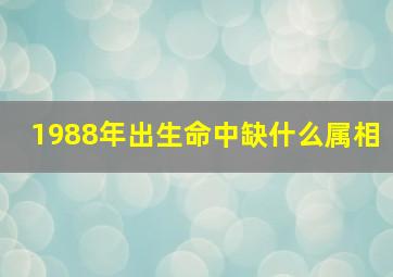 1988年出生命中缺什么属相