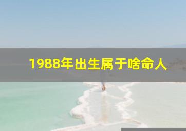 1988年出生属于啥命人