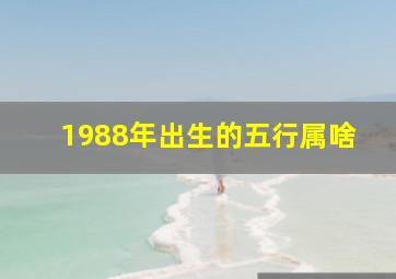 1988年出生的五行属啥