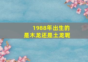 1988年出生的是木龙还是土龙呢