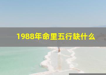 1988年命里五行缺什么