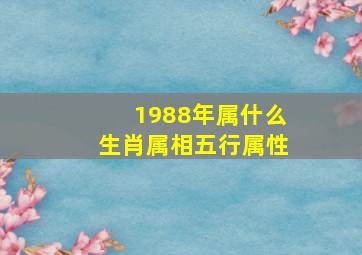 1988年属什么生肖属相五行属性