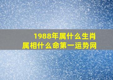 1988年属什么生肖属相什么命第一运势网