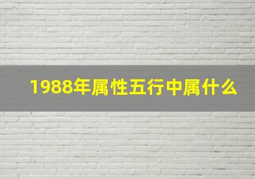 1988年属性五行中属什么