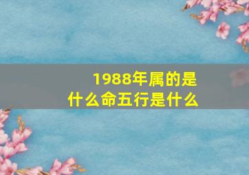 1988年属的是什么命五行是什么