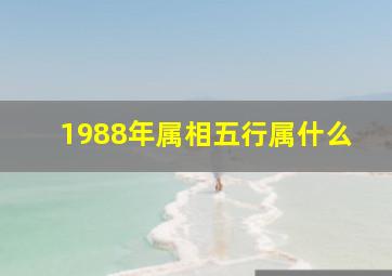 1988年属相五行属什么