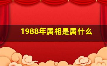 1988年属相是属什么