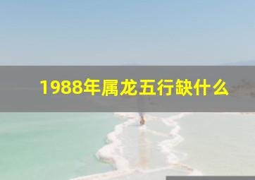 1988年属龙五行缺什么