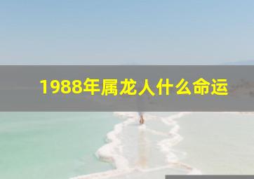 1988年属龙人什么命运