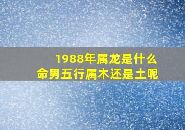 1988年属龙是什么命男五行属木还是土呢