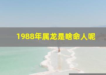 1988年属龙是啥命人呢