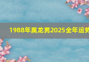 1988年属龙男2025全年运势