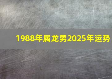 1988年属龙男2025年运势