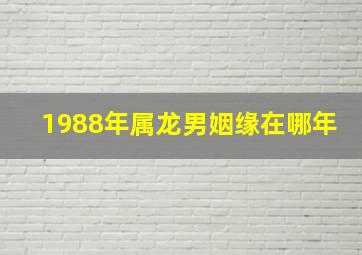 1988年属龙男姻缘在哪年