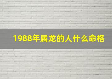 1988年属龙的人什么命格