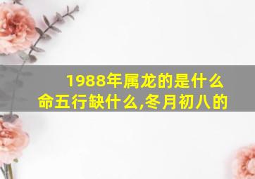 1988年属龙的是什么命五行缺什么,冬月初八的