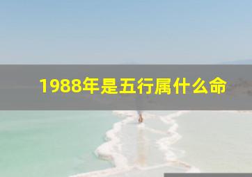 1988年是五行属什么命