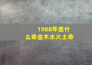 1988年是什么命金木水火土命