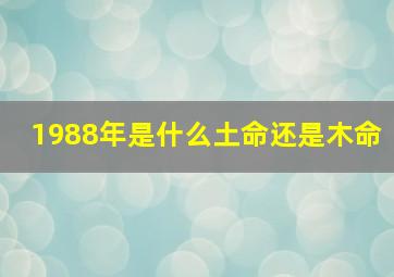 1988年是什么土命还是木命