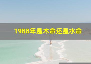 1988年是木命还是水命