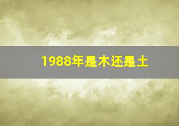 1988年是木还是土