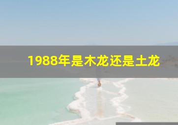 1988年是木龙还是土龙