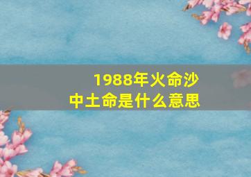 1988年火命沙中土命是什么意思